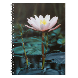 Carnet Vue rapprochée de nénuphar à Inle Lake