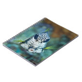 Carnet Vue sous-marine du Trunkfish lisse (Lactophrys (Côté gauche)