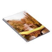 CARNET VUES DES ALLES (Côté Droit)