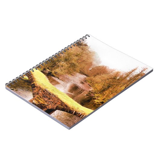 CARNET VUES DES ALLES (Côté gauche)