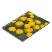 Carnet Vulgare de Tanacetum de Tansy (Côté gauche)