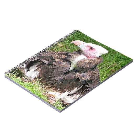 CARNET VULTURE (Côté gauche)