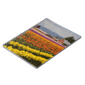 Carnet WA, Skagit Valley, champs de tulipe en floraison,  (Côté gauche)
