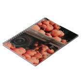 Carnet wagon citrouille (Côté gauche)