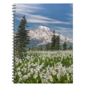 Carnet Washington, Parc national du mont Rainier 1