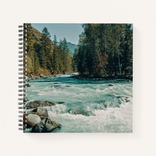 Carnet Water | Kucherla River, Altai Mountains (Devant)