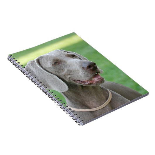 Carnet Weimaraner (Côté Droit)