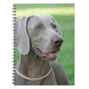 Carnet Weimaraner