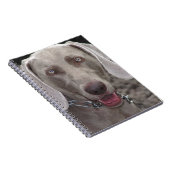 Carnet Weimaraner (Côté Droit)