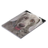 Carnet Weimaraner (Côté gauche)