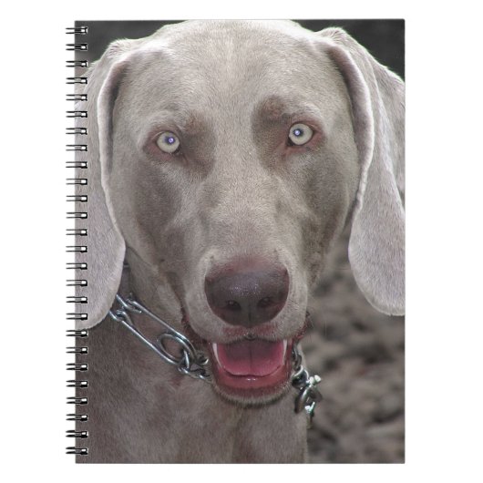 Carnet Weimaraner (Devant)