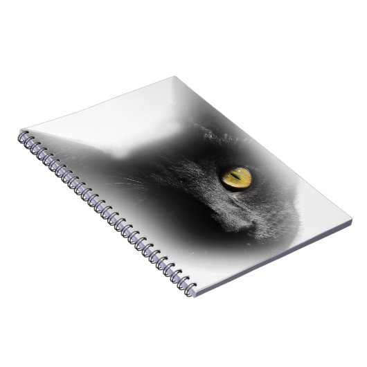 Carnet Wellcoda un chaton bizarre observé de chat noir (Côté Droit)