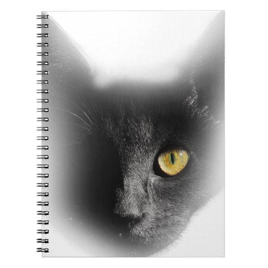 Carnet Wellcoda un chaton bizarre observé de chat noir (Devant)