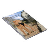Carnet Welsh Terrier dans la cour de l'écurie (Côté Droit)
