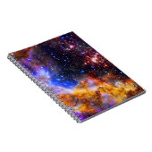 Carnet Westerlund 2 en Caroline (Côté Droit)