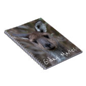 Carnet Western Grey Kangaroo Australie (Côté Droit)