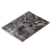 Carnet Western Grey Kangaroo Australie (Côté gauche)