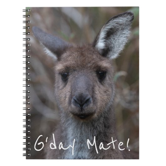 Carnet Western Grey Kangaroo Australie (Devant)