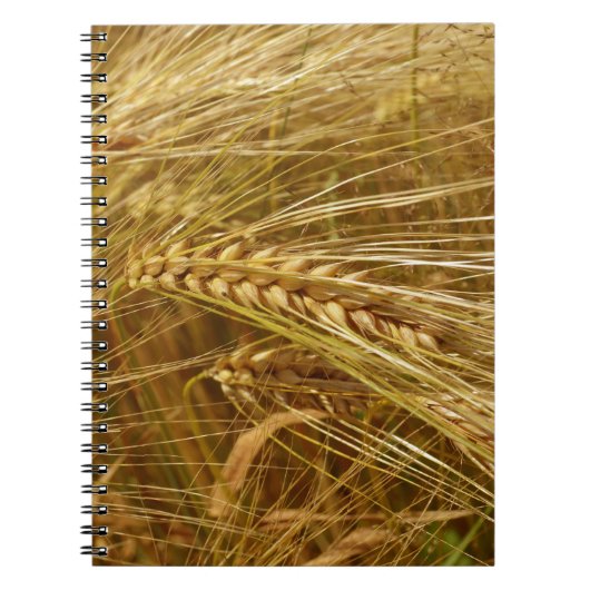 Carnet  Wheat field. It’s Harvest Time!  (Devant)