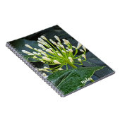 Carnet White Agapanthus Buds Floral (Côté Droit)