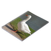 Carnet White goose near of pond (Côté gauche)