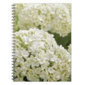 Carnet White Hydrangea (Devant)