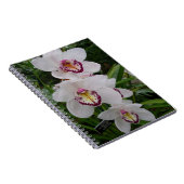Carnet White Orchids Beautiful Tropical Flowers (Côté Droit)