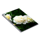 Carnet White Peony Trio (Côté Droit)