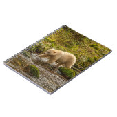 Carnet White Spirit Bear Chasse pour poisson sur Riordan  (Côté gauche)