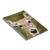 Carnet White Tailed (Côté Droit)