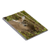 Carnet White Tailed (Côté Droit)