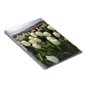 Carnet White Tulips à Field, Oregon (Côté Droit)