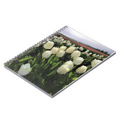Carnet White Tulips à Field, Oregon (Côté gauche)