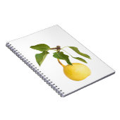 Carnet Wild pear (Côté Droit)