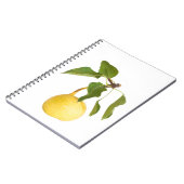 Carnet Wild pear (Côté gauche)