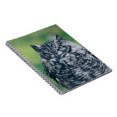 CARNET WILL OWL DANS LA FORÊT FRANÇAISE (Côté Droit)