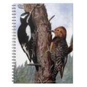 Carnet "Williamson's Sapsucker's" (Devant)