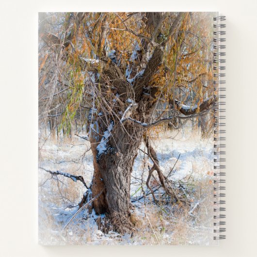 Carnet Willow Walking (Dos)