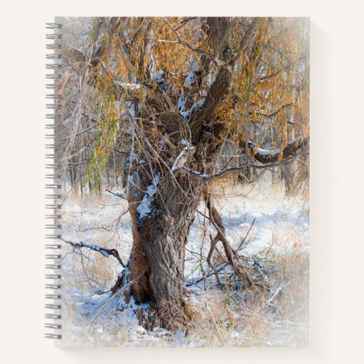 Carnet Willow Walking (Devant)