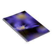 Carnet Windflower Grec, fleur bleue résistante de cerfs (Côté Droit)