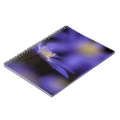 Carnet Windflower Grec, fleur bleue résistante de cerfs (Côté gauche)