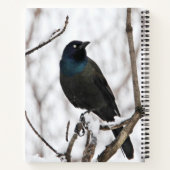 Carnet Winter Birds (Dos)