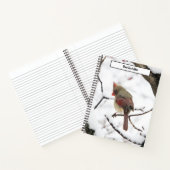 Carnet Winter Birds (Intérieur)