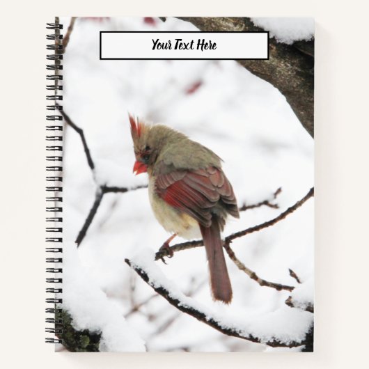 Carnet Winter Birds (Devant)