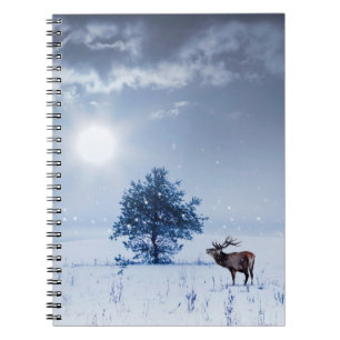 Carnet Winter landscape in blue color. Lonely tree and wi