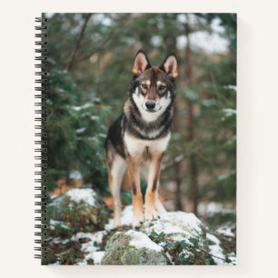 Carnet Wolfdog