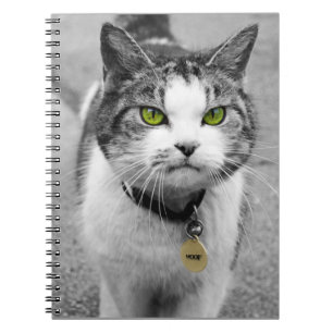 Carnet Woof