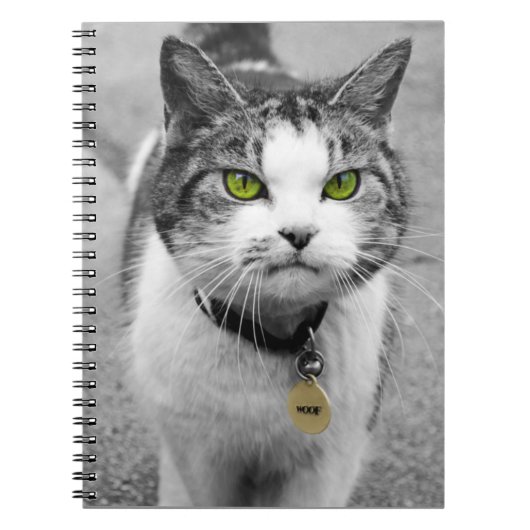 Carnet Woof (Devant)