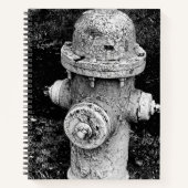 Carnet Worn Chipped Rusty Old Fire Hydrant Photograph (Devant)