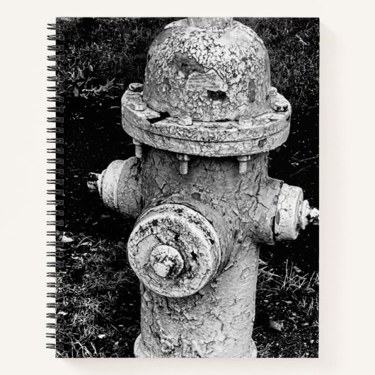 Carnet Worn Chipped Rusty Old Fire Hydrant Photograph (Devant)